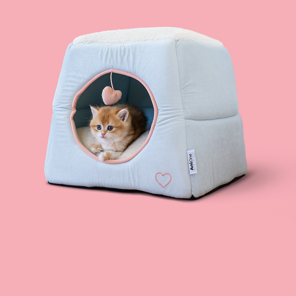 FNMZ_Friends_Little-Friends_Image_CTA_kitten_1200x1200-6a158f7c8054c little friends landingpage kitten promo teaser