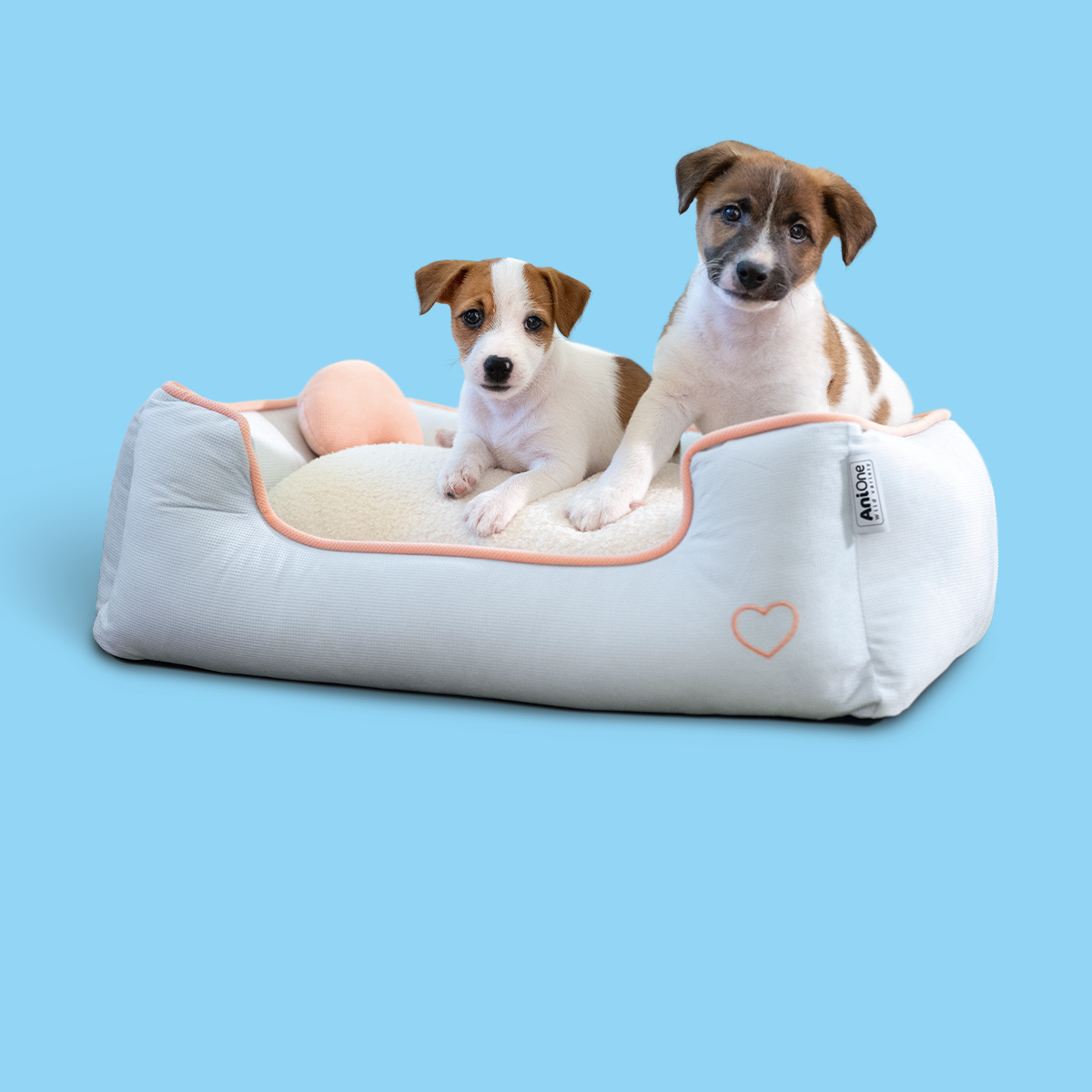 FNMZ_Friends_Little-Friends_Image_CTA_puppy_1200x1200-6a158f7aaa48a little friends landingpage puppy promo teaser