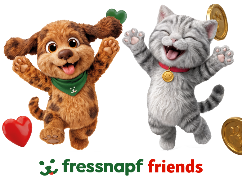 Friends LP Streifi Flecki Intro