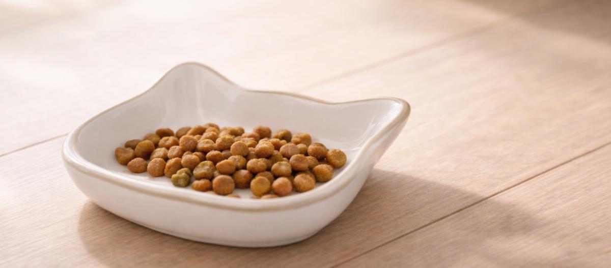 Ratgeber_Katze_Ernaehrung_Ernaehrungsberatung-fuer-Katzen_1200x527 Katzenfutter in einer Schale