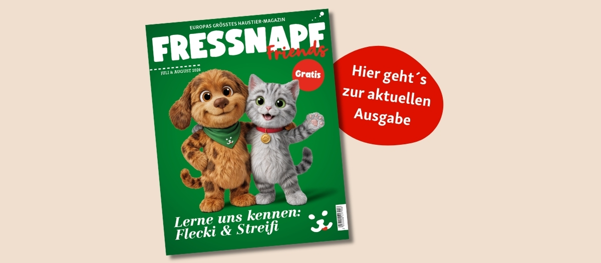FN Friends0426_AT_ipaper (1200 x 527 px)