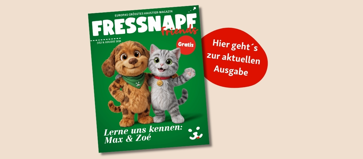 FN Friends0426_CH_ipaper (1200 x 527 px)