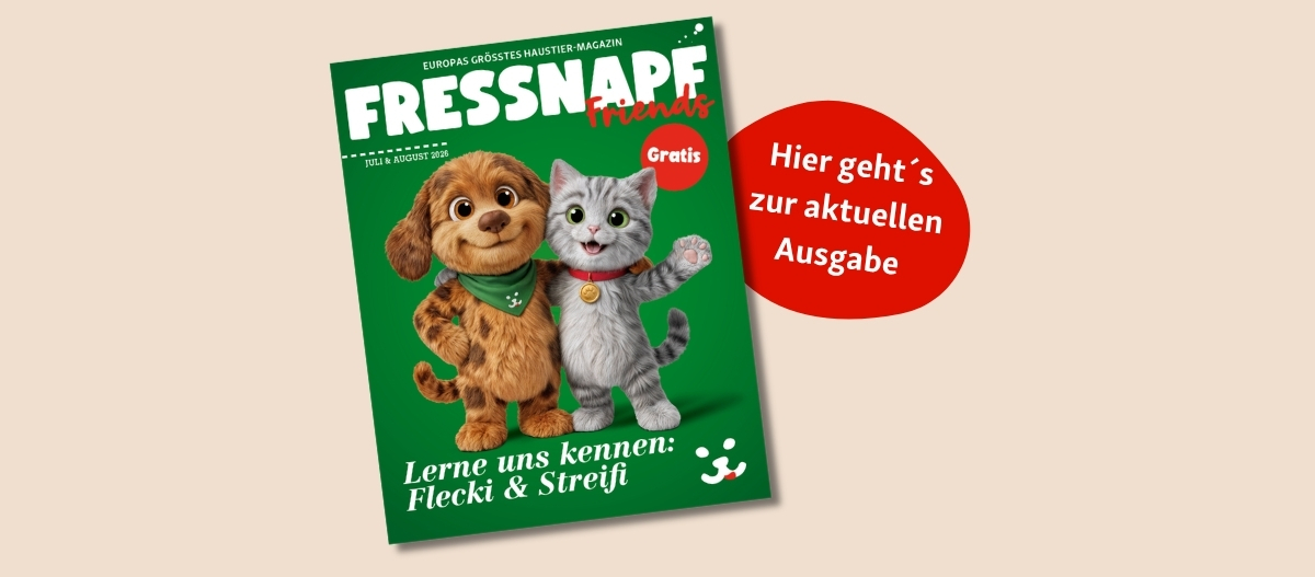FN Friends0426_DE_ipaper (1200 x 527 px)