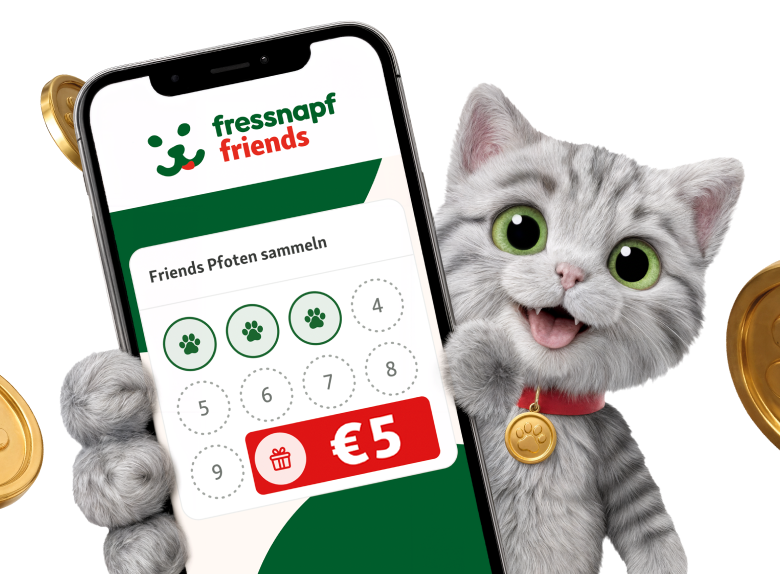 FNAT_Friends_Stampcard_Intro_Section_Teaser_390x287
