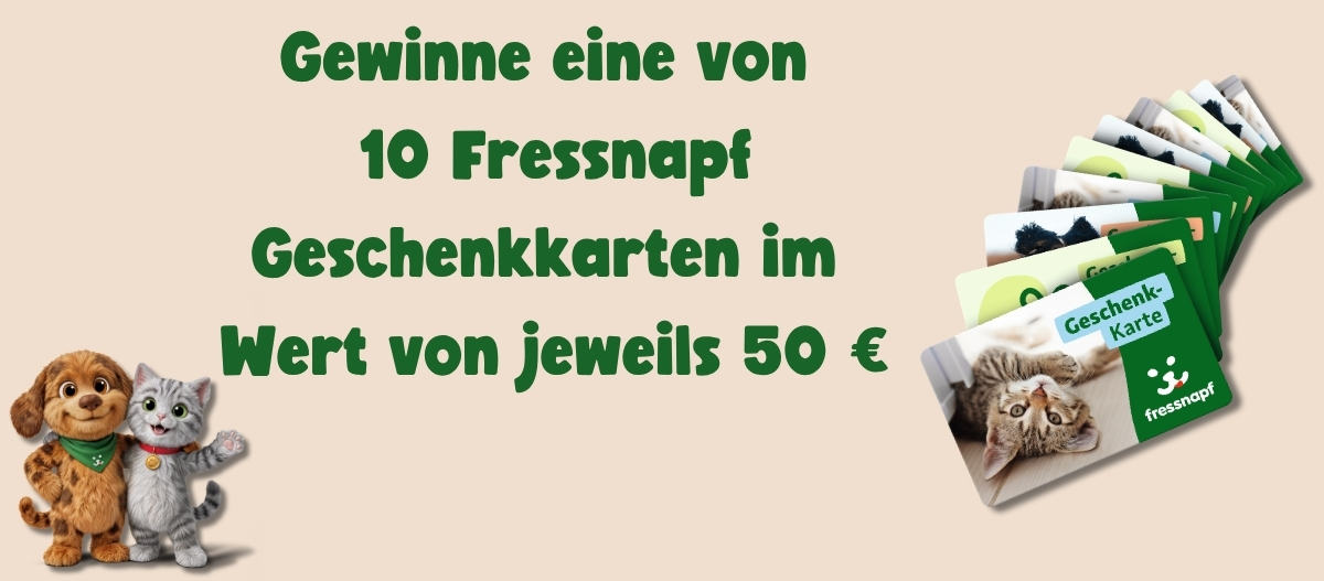 FNFriends0426 AT_Suchspiel_Gewinnspielseite