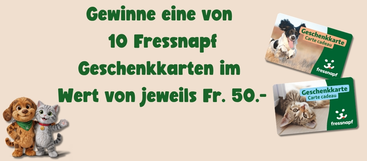 FNFriends0426_CH_Suchspiel_Gewinnspielseite