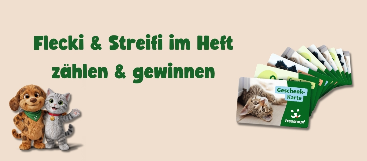 FNFriends0426_Suchspiel_Magazin-Startseite