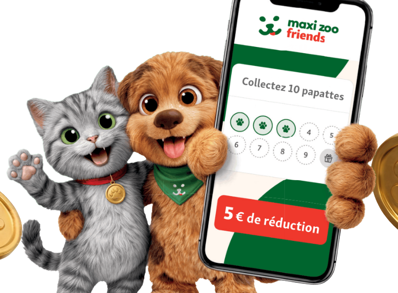 Stamcard_mobileFR