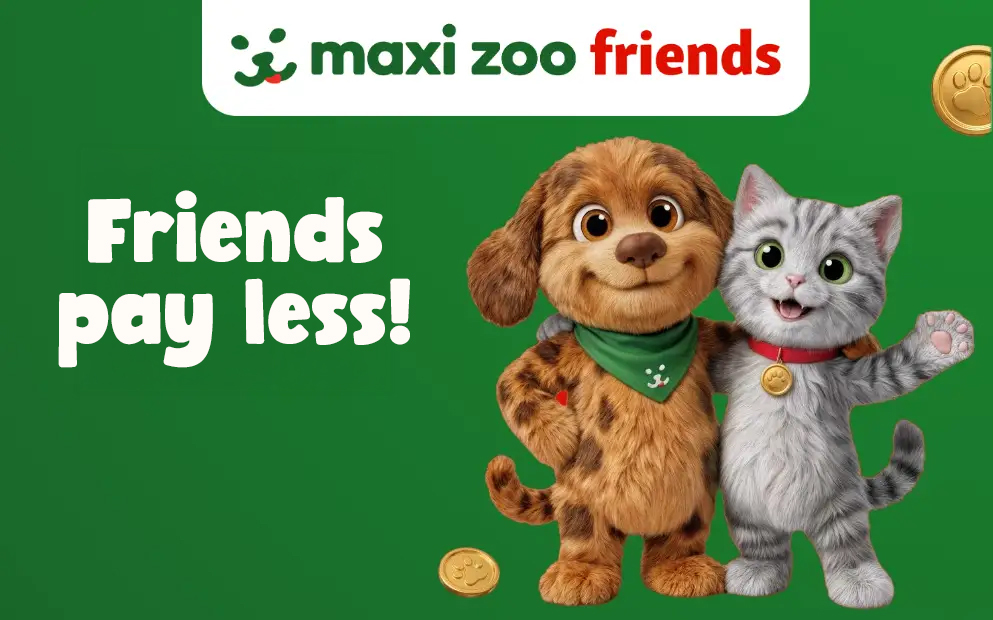 ie_friends_banner_mobile