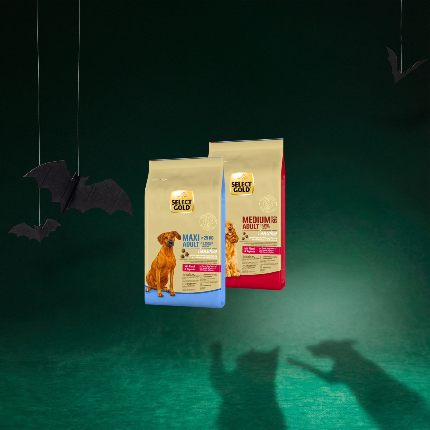 La photo montre deux paquets de croquettes pour chiens de 12 kg, dans les variétés « Adult cheval au tapioca » et « Junior agneau au saumon » de la marque SELECT GOLD Sensitive.