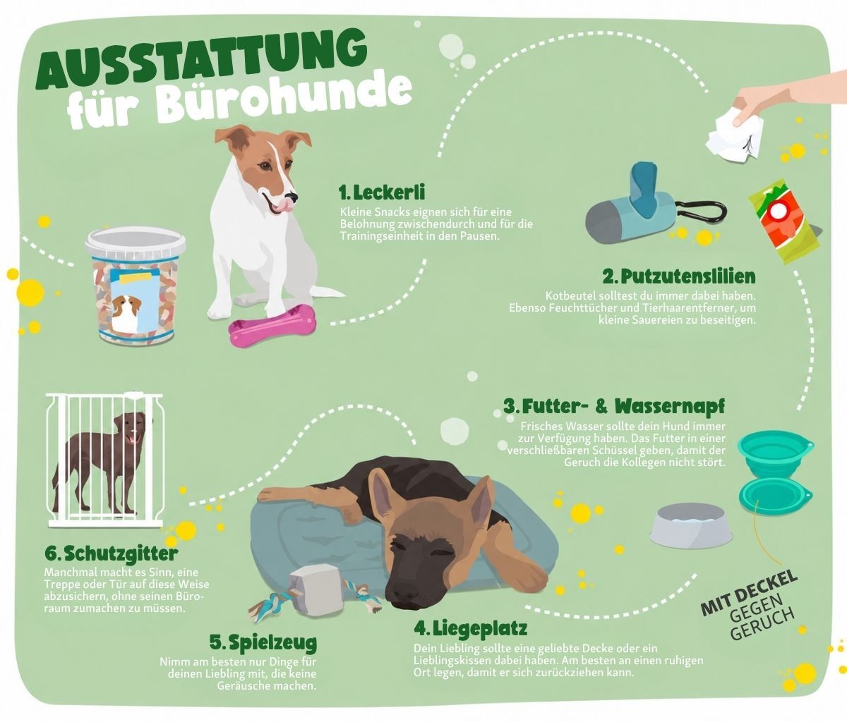 AUSSTATTUNG für Bürohund Infografik Ausstattung Hund im Büro.