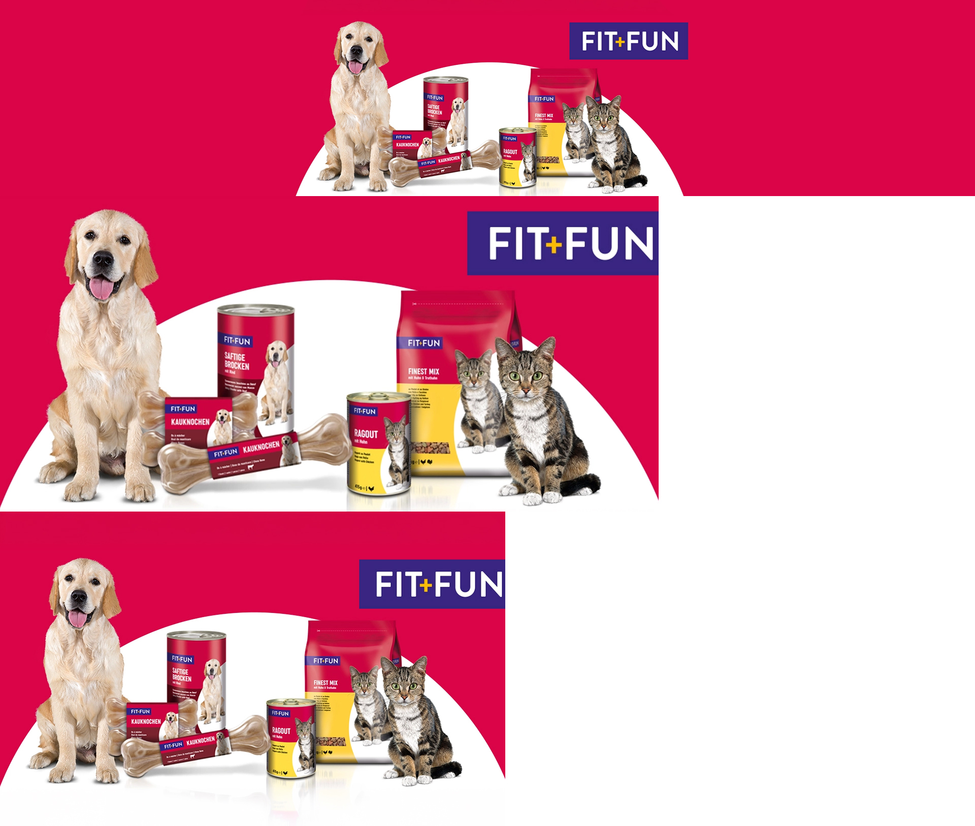 Fit Fun - Responsive