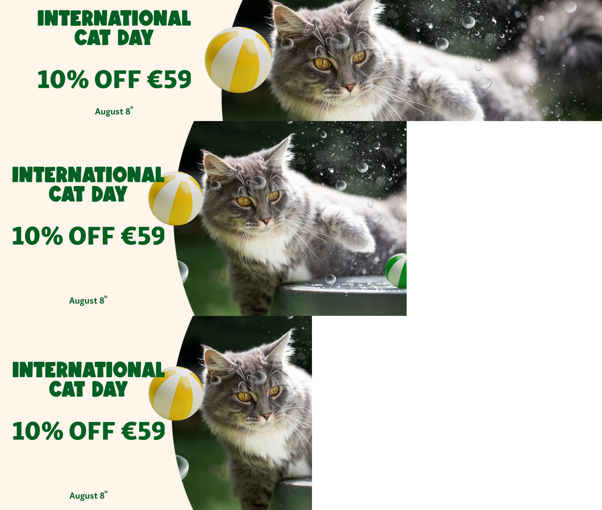 Int Cat Day - Responsive