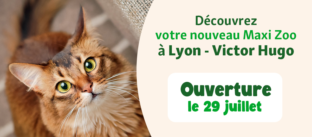 LYON_V~1