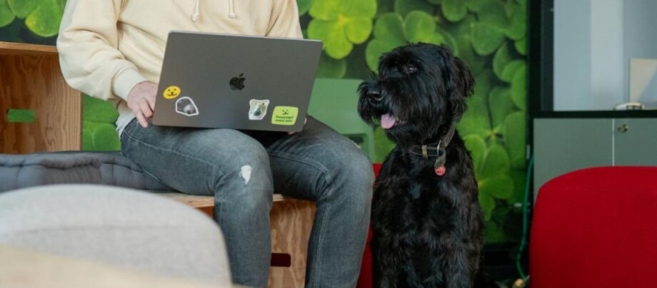 Ratgeber-Hund-Hund-im-Buero_1200x527 (4) Eine Person sitzt mit einem Laptop auf einer Sitzbank in einem Büro, während ein schwarzer Hund daneben sitzt.