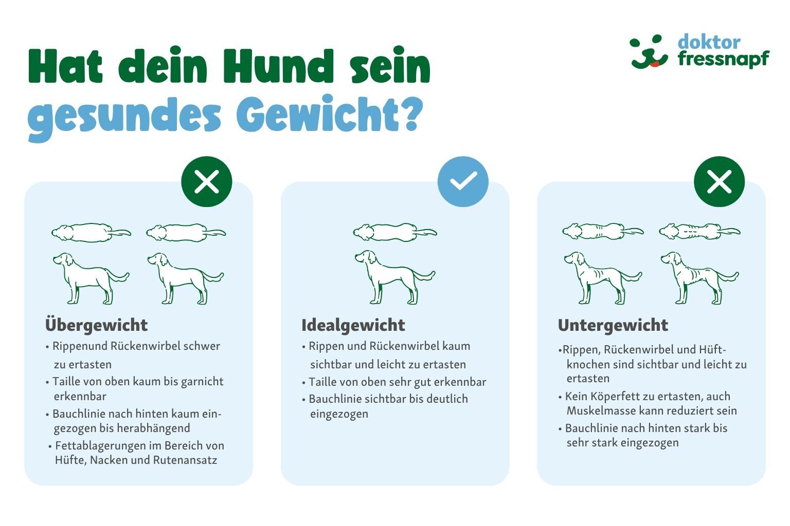 Ratgeber-Uebergewicht-Grafik-dr-fressnapf Grafik zum Idealgewicht bei Hunden