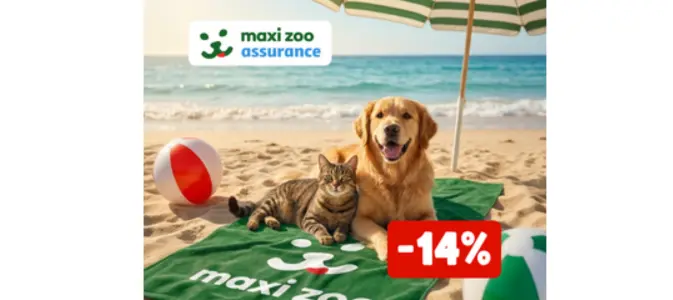 Assurance
