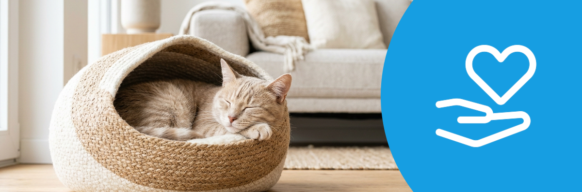 introvis_cat_wellbeing_stressrelief