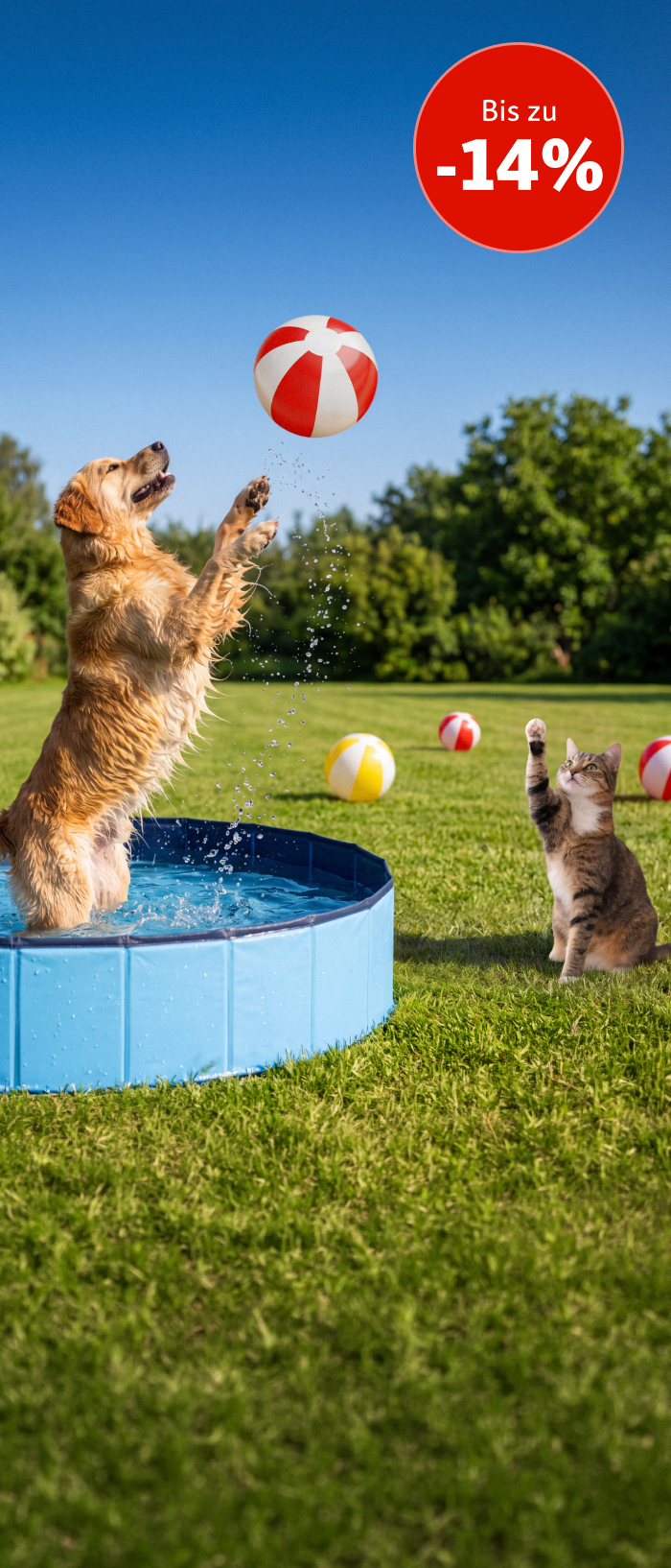 Sommer – KI-generiert