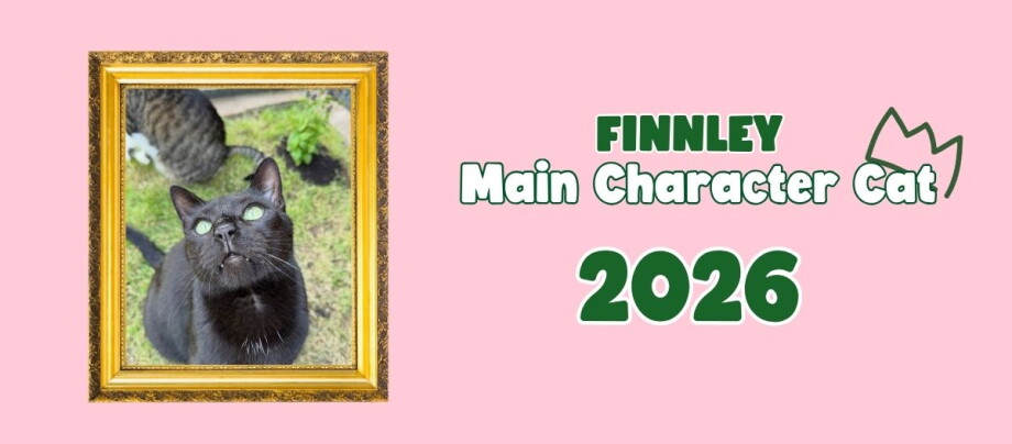 2026