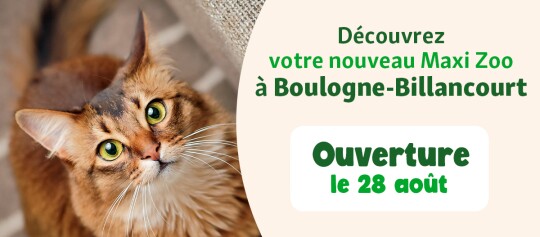 bannière ouverture FR Boulogne-Billancourt 28 aout
