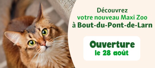 bannière ouverture FR Bout-du-pont-de-larn 28 aout