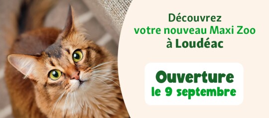 bannière ouverture FR Loudéac 9 septembre