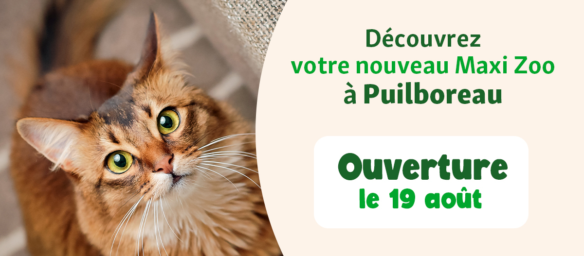 bannière ouverture FR Puilboreau 19 aout
