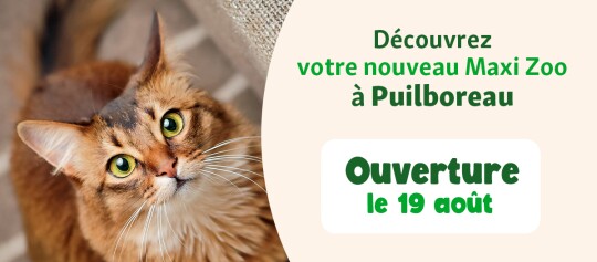 bannière ouverture FR Puilboreau 19 aout