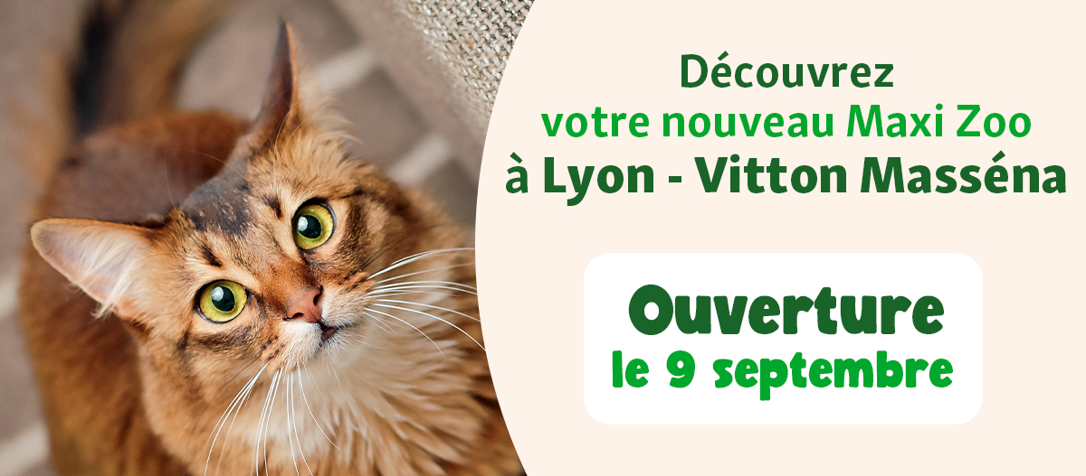 bannière ouverture FR Lyon Vitton Masséna 9 septembre
