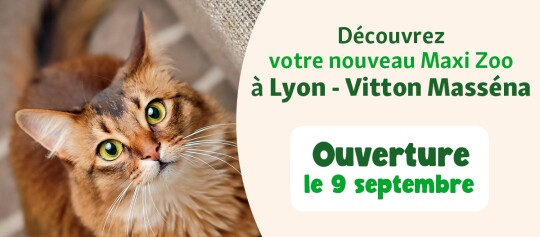 bannière ouverture FR Lyon Vitton Masséna 9 septembre
