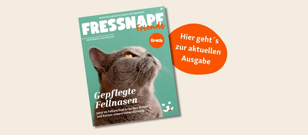FN Friends0526_CH_ipaper (1200 x 527 px)