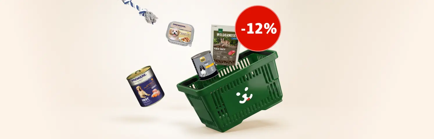 New customer – KI-generiert