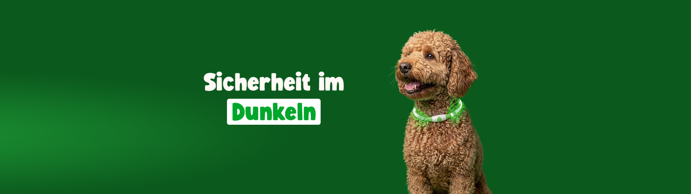 fnat_chde_kompetenz_sicherheit_im_dunkeln_hero_banner_2400x675