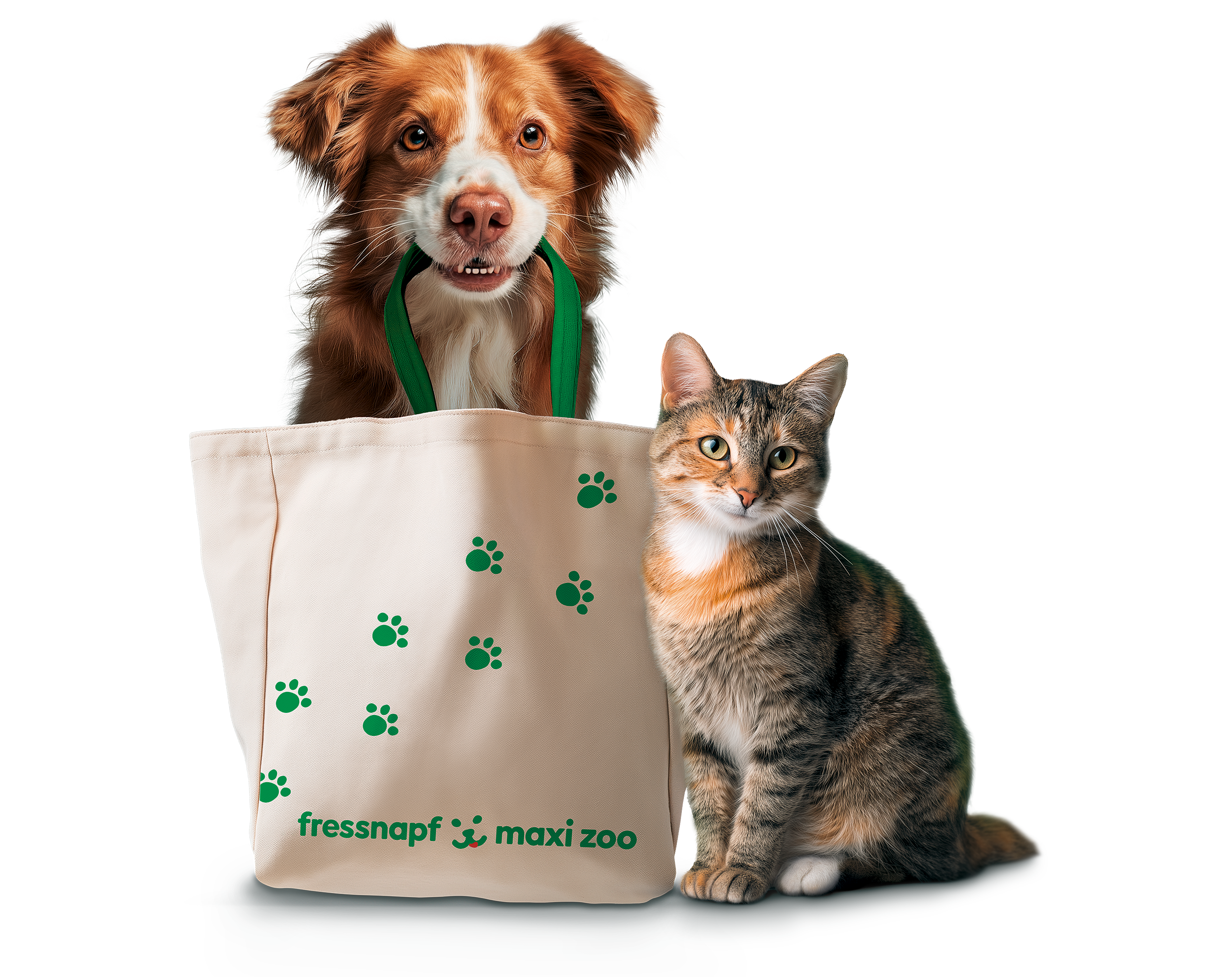 _FNMZ_Pets_tfp_XXL_dog_cat_KQ