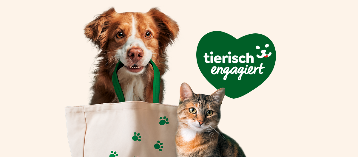 INT_KW14_Kundenspenden_tierisch engagiert_MM_Onsite_Teaser 1200 x 527_DE