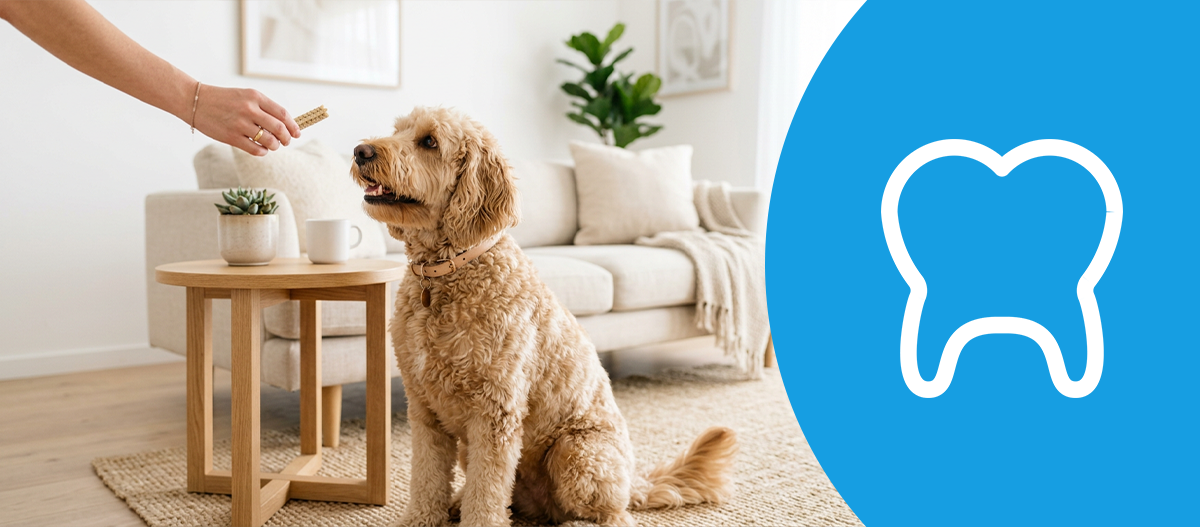health_magazin_dog_dental_1200x527 Ein Hund bekommt einen Dentalstick gereicht. – KI-generiert
