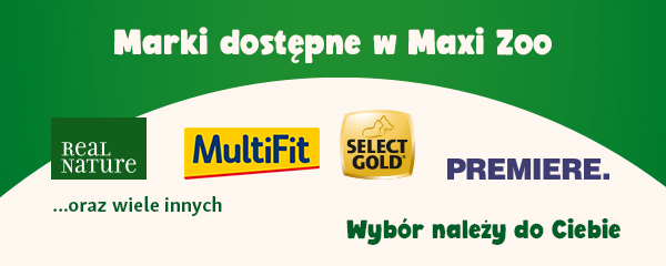 260327-MZoo-03-Optymalizacja banner-marki-600x240-3 1