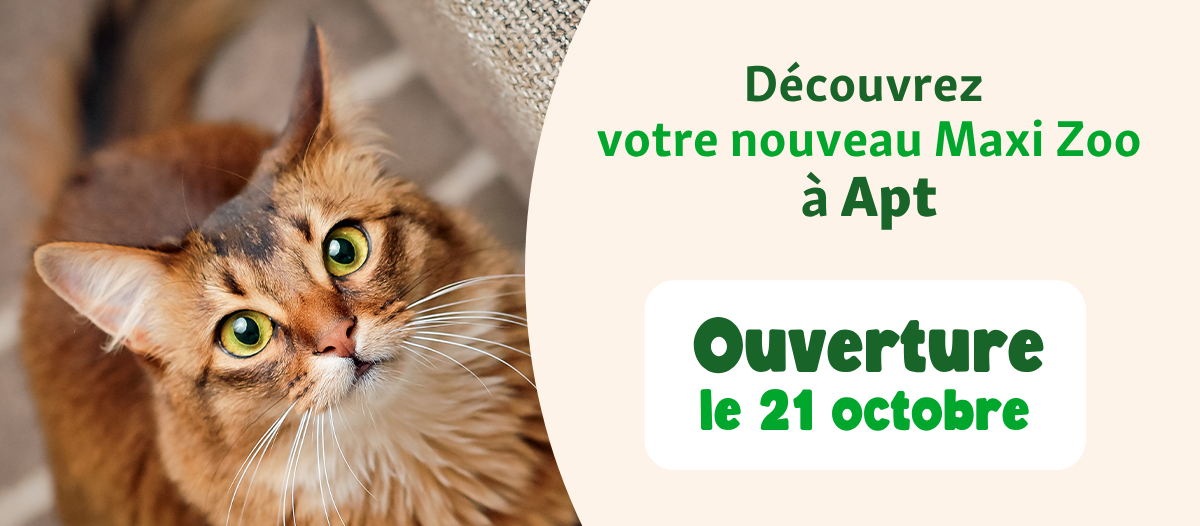 Banner-apt