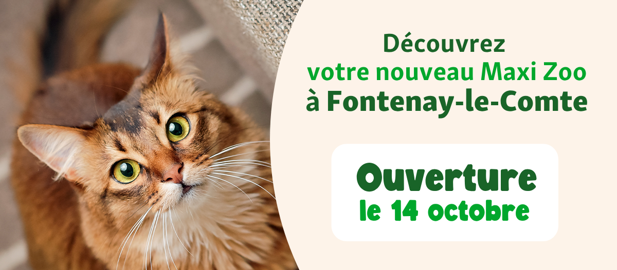 Banner-fontenay