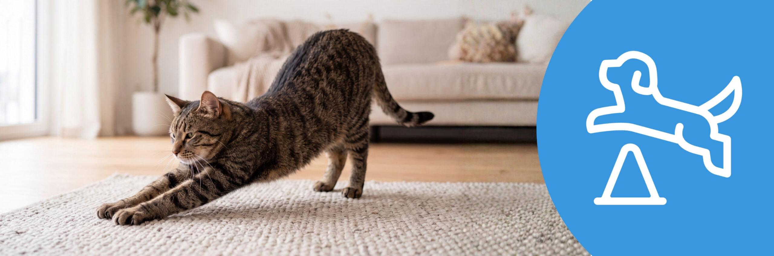 IntroBanner_1200x397_Cat_Mobility