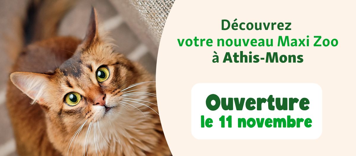 banner-athismons
