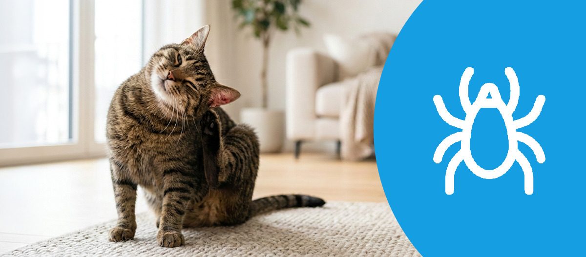 Eine Katze kratzt sich hinter dem Ohr. – KI-generiert
