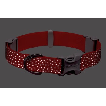 Rotes reflektierendes Hundehalsband mit einer grauen Schnalle, mit einem Muster aus kleinen reflektierenden Punkten für Sichtbarkeit bei Nacht.