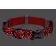 Rotes reflektierendes Hundehalsband mit einer grauen Schnalle, mit einem Muster aus kleinen reflektierenden Punkten für Sichtbarkeit bei Nacht.