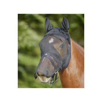 Ein braunes Pferd trägt eine schwarze Netzfliegenmaske mit Ohren, vor einem verschwommenen grünen Hintergrund.
