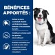 Un Border Collie heureux est assis à côté d'un texte mettant en avant les bienfaits d'un produit dentaire : nettoie les dents, rafraîchit l'haleine, soutient les gencives et offre de la nutrition.
