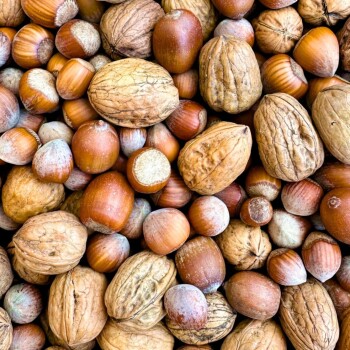 Eine Nahaufnahme verschiedener Nüsse, einschließlich Haselnüssen und Walnüssen, die auf einer Oberfläche verstreut sind und ihre strukturierten Schalen und erdigen Töne zeigen.