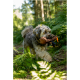 Ein flauschiger Hund mit grauem und weißem Fell trägt ein braunes Spielzeug im Mund, während er durch einen üppigen grünen Wald läuft.