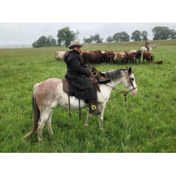 Person in schwarzem Mantel und Cowboyhut reitet auf einem weiß-braunen Pferd auf einer grasbewachsenen Wiese mit Rindern im Hintergrund.